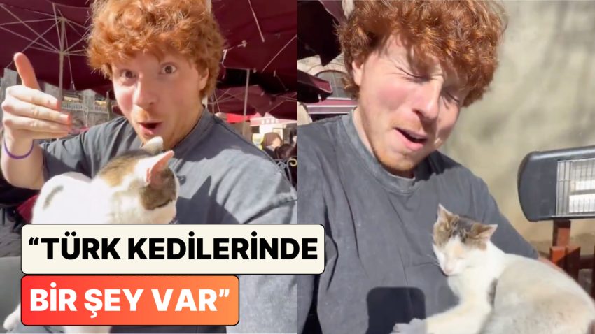 Ülkemizi Gezen Bir Turist Kafede Bir Anda Kucağına Oturan Kediyi Paylaştı: “Kediler Ülkesine Beğenilen Geldiniz”