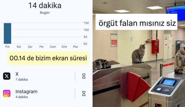 ulku-ekran-muhletinden-marmaraydaki-kedi-cetesine-son-24-saatin-viral-tweetleri-LYpDvGGa.jpg