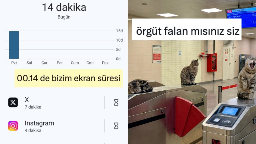 Ülkü Ekran Mühletinden Marmaray’daki Kedi Çetesine Son 24 Saatin Viral Tweetleri