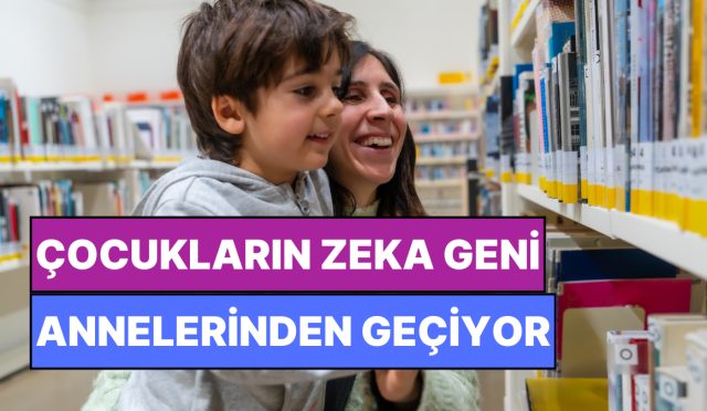 uyaniksaniz-sebebi-anneniz-bilim-zeka-geninin-anneden-gectigini-acikladi-Xg4xlwX2.jpg