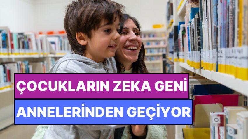 Uyanıksanız Sebebi Anneniz! Bilim Zeka Geninin Anneden Geçtiğini Açıkladı