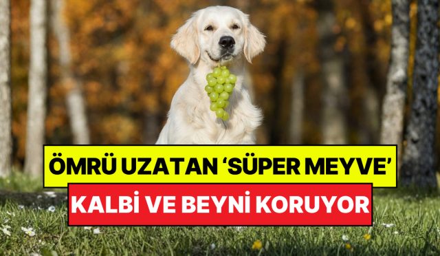 uzman-diyetisyenler-acikladi-kalp-ve-beyin-sihhati-icin-en-yararli-super-meyve-muhakkak-oldu-zjOw5RMU.jpg