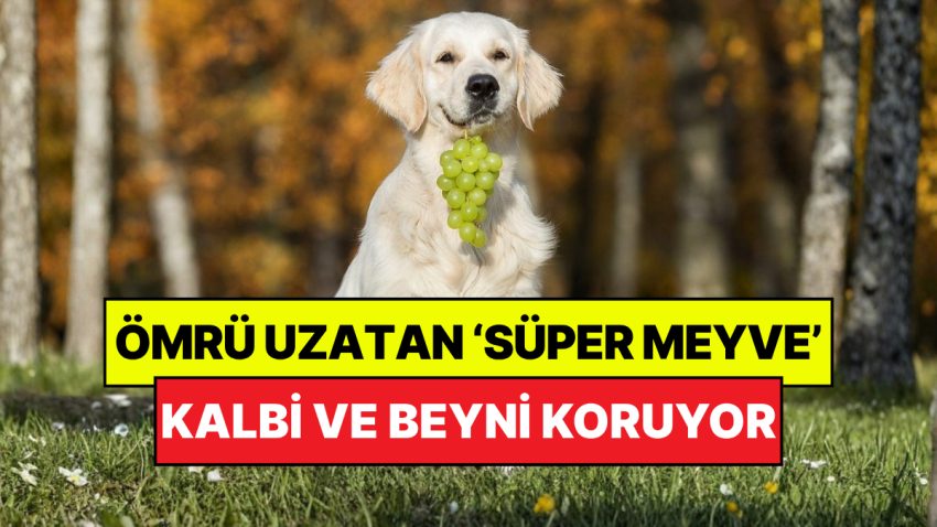 Uzman Diyetisyenler Açıkladı: Kalp ve Beyin Sıhhati İçin En Yararlı ‘Süper Meyve’ Muhakkak Oldu