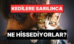 uzmanlar-acikladi-kediler-sarilmayi-ve-opulmeyi-nasil-algiliyor-jmHEUTmn.jpg