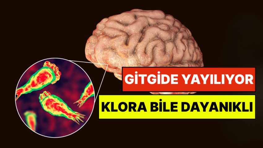 Uzmanlardan Korkutan Beyin Yiyen Amip Uyarısı: “Dünya Genelinde Su Sistemlerine Yayılıyor”