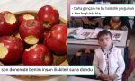 vaktinde-altin-almadigina-sevinenden-tekrar-lgsye-girmek-isteyene-son-24-saatin-viral-tweetleri-ekFDZNsH.jpg