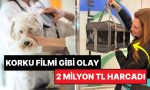 vefat-eden-kopegini-50-bin-dolar-harcayarak-klonlatan-bayan-pismanim-9uxHjXvX.jpg