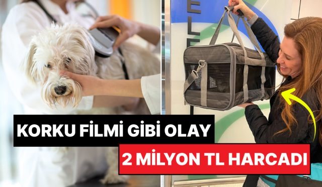 vefat-eden-kopegini-50-bin-dolar-harcayarak-klonlatan-bayan-pismanim-9uxHjXvX.jpg