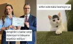vergi-veren-zenginden-kendi-kuaforlugunu-yapanlara-son-24-saatin-viral-tweetleri-n1Dm6iLS.jpg