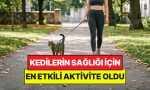 veteriner-tabipleri-acikladi-kedileri-yuruyuse-cikarmak-davranis-bozukluklarini-engelliyor-Yh9Ej3mn.jpg