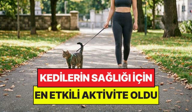 veteriner-tabipleri-acikladi-kedileri-yuruyuse-cikarmak-davranis-bozukluklarini-engelliyor-Yh9Ej3mn.jpg