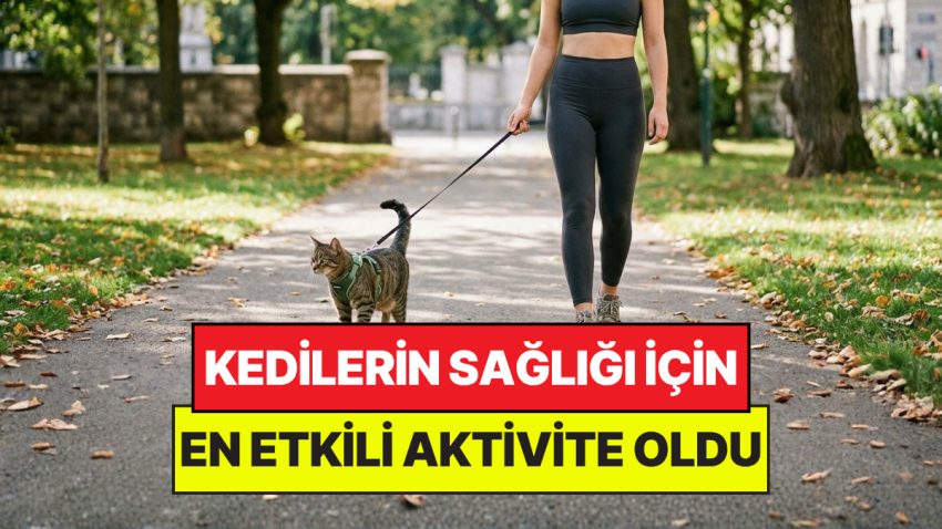 Veteriner Tabipleri Açıkladı: Kedileri Yürüyüşe Çıkarmak Davranış Bozukluklarını Engelliyor