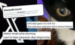 xe-gelen-otomatik-ceviri-ozelligi-kullanicilar-tarafindan-begenilmedi-trOyn9U3.jpg