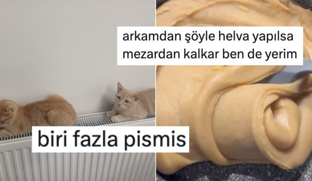 yemeklerle-ilgili-paylasimlariyla-hepimizi-mizaha-doyuran-bireylerden-haftanin-en-komik-yemek-tweetleri-YJfFZAbX.jpg