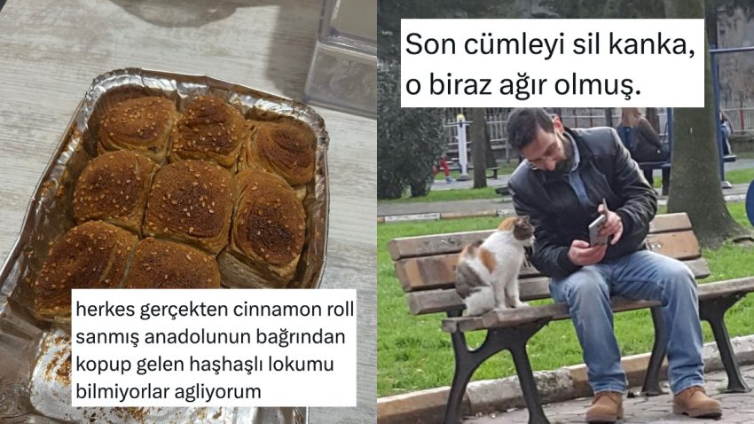 Yerli ve Ulusal Cinnamon Roll’dan Bağ Koçu Kediye Son 24 Saatin Viral Tweetleri