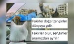 yoksullar-ve-zenginlerin-lisanda-bile-ayristigini-gosteren-ornekler-yz7H4kTJ.jpg