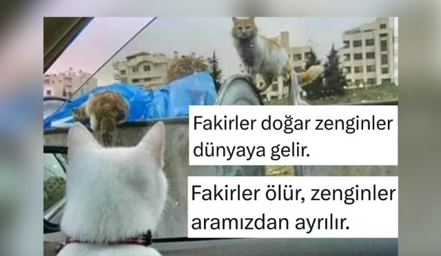 yoksullar-ve-zenginlerin-lisanda-bile-ayristigini-gosteren-ornekler-yz7H4kTJ.jpg