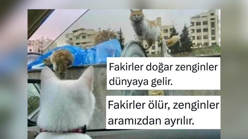 Yoksullar ve Zenginlerin Lisanda Bile Ayrıştığını Gösteren Örnekler