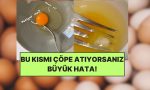 yumurtanin-uzerindeki-o-beyaz-sey-aslinda-ne-uzman-diyetisyen-sakin-atmayin-diyerek-uyardi-DqECL9sW.jpg