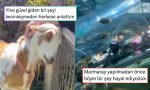 zeki-murenin-lady-gagayi-kiskandiran-ayakkabisindan-hayallerimizdeki-marmaraya-24-saatin-viral-tweetleri-TyV466Ug.jpg