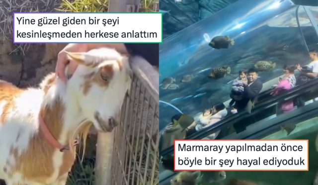 zeki-murenin-lady-gagayi-kiskandiran-ayakkabisindan-hayallerimizdeki-marmaraya-24-saatin-viral-tweetleri-TyV466Ug.jpg
