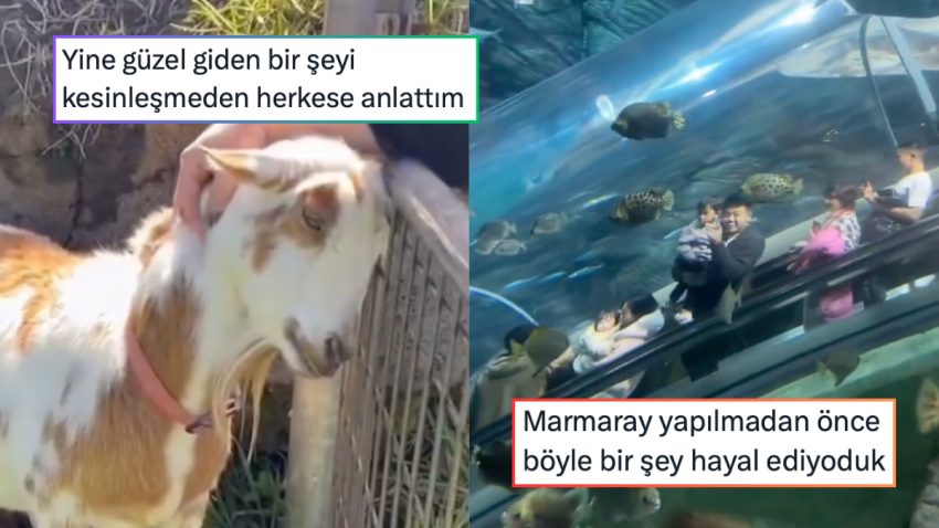 Zeki Müren’in Lady Gaga’yı Kıskandıran Ayakkabısından Hayallerimizdeki Marmaray’a 24 Saatin Viral Tweetleri